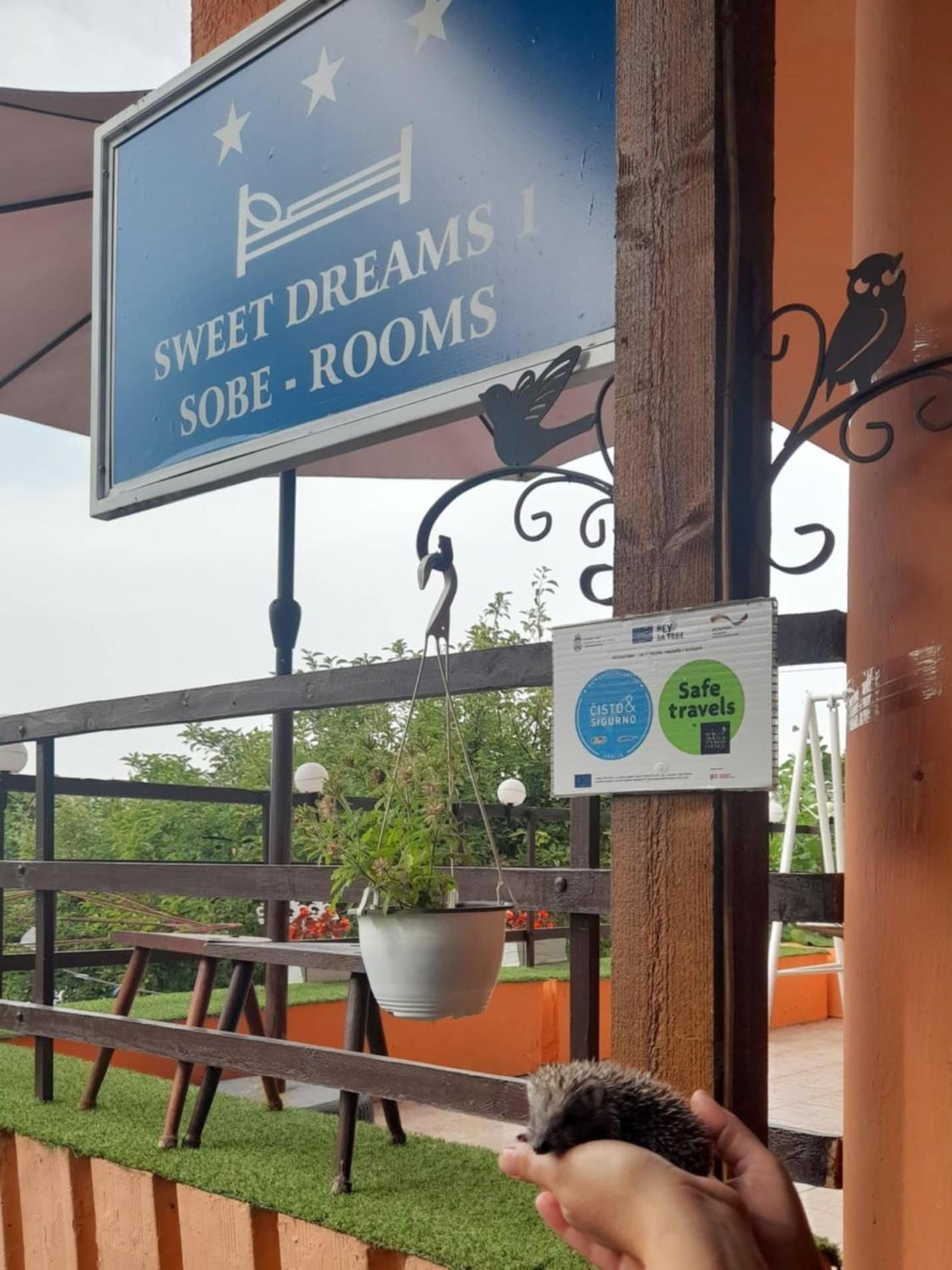 Sweet Dreams Lägenhet Zaječar Exteriör bild